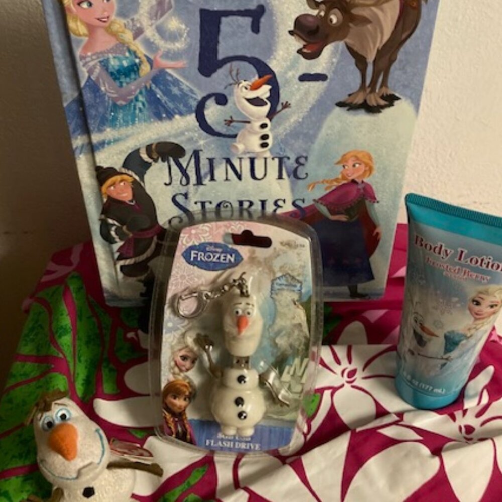 FROZEN FANS DISNEY 5 MINUTE FROZEN STORIES ANNA ELSA OLAF FLASH LOTION KEY NEW